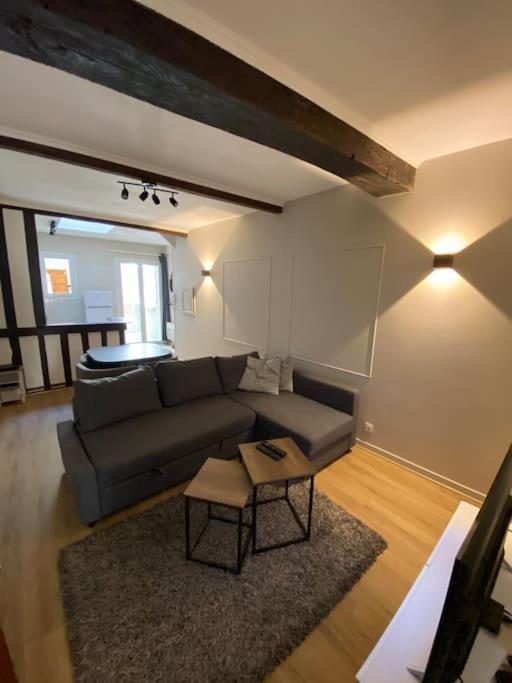 Appartement Charmant Hypercentre Avec Patio Prive Et Parking Орлеан Экстерьер фото
